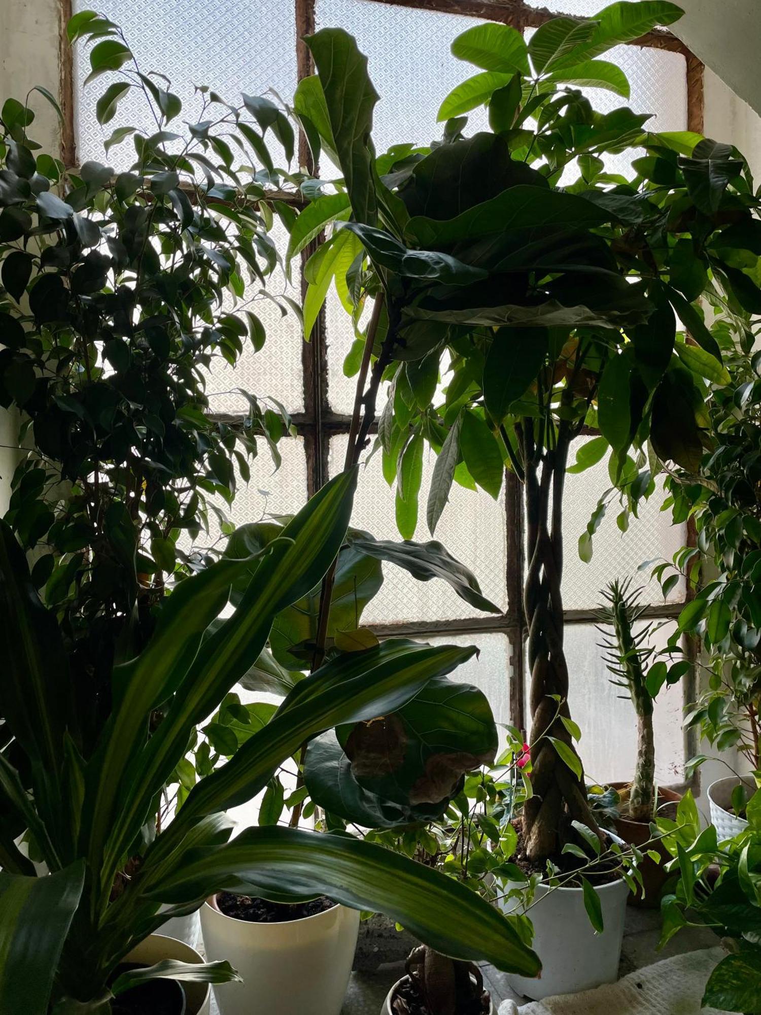 Lorenzo'S House Catania City Centre - Comfortable Large Apartment With 2 Bedrooms And 2 Baths, Close To Trains, Metro And Bus Station ภายนอก รูปภาพ