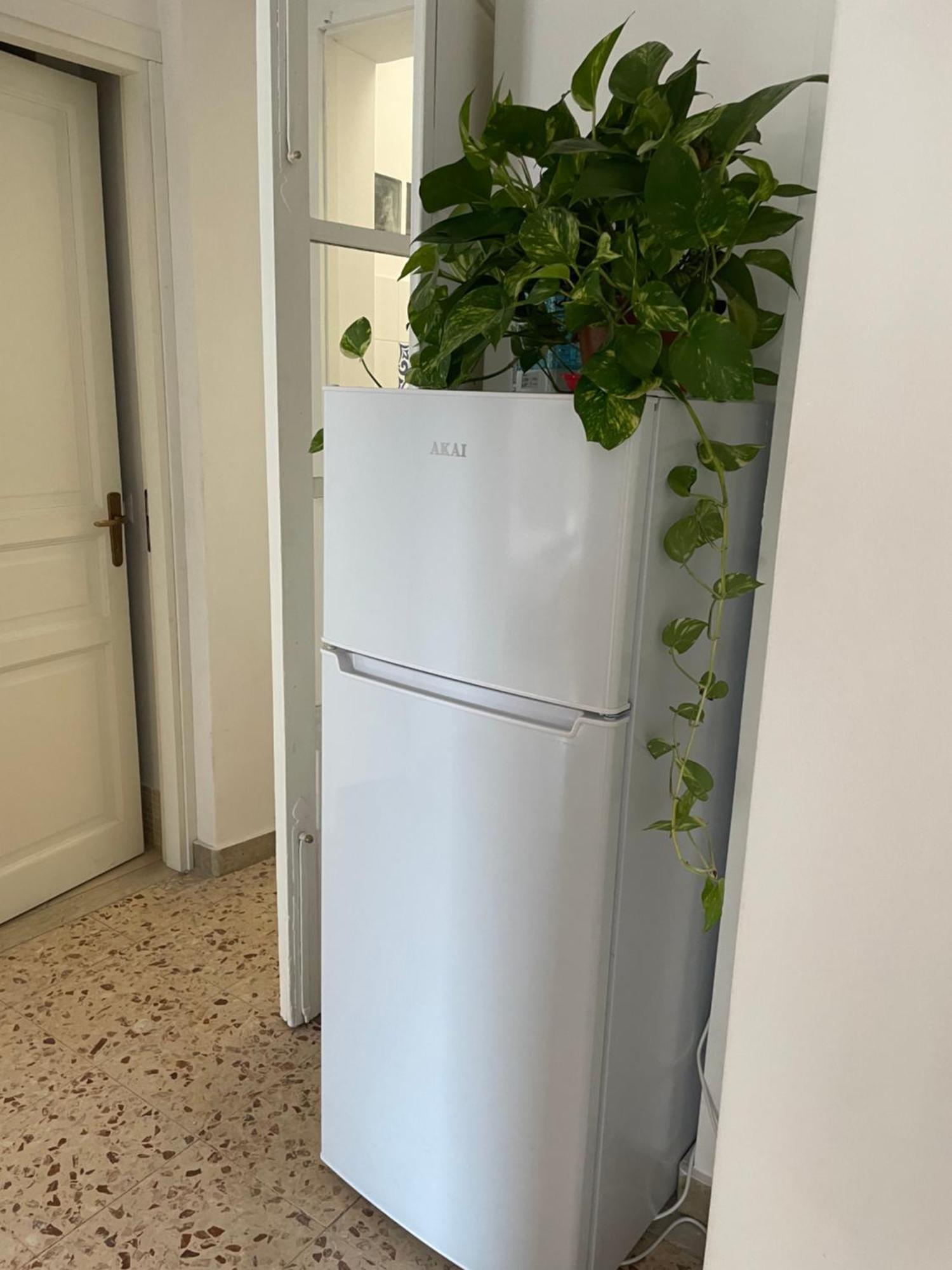 Lorenzo'S House Catania City Centre - Comfortable Large Apartment With 2 Bedrooms And 2 Baths, Close To Trains, Metro And Bus Station ภายนอก รูปภาพ